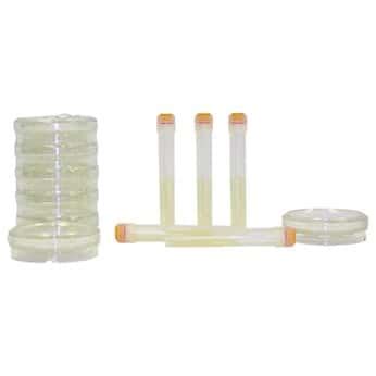 GVS Total Count Swab Kit for Enumeration of all Aerobic Bacteria on ...