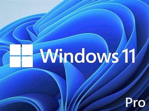 Brand New Microsoft Windows 11 Pro 64 Bit Operating India | Ubuy