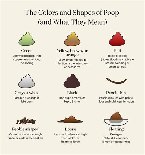 Image result for Different Poop Colors