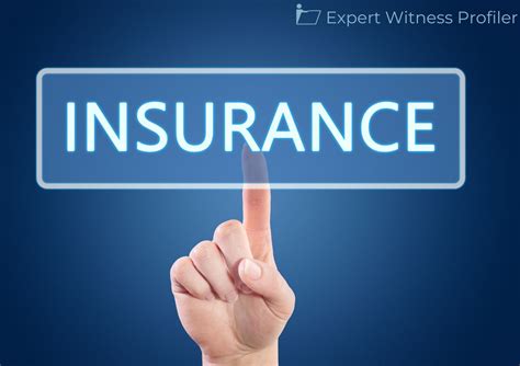 Expert Witness Example 的图像结果