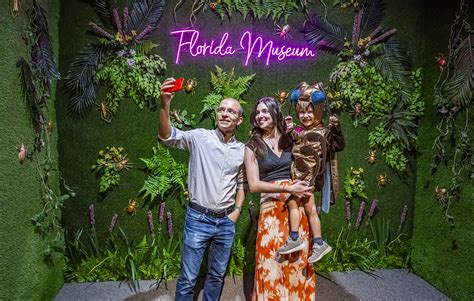 Image result for Insect.com