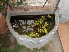 vasca pesci da giardino vasca perde come fare vasca pesci da giardino vasca perde come fare