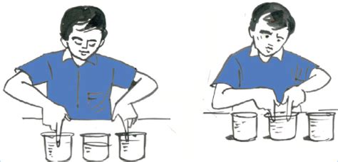 Image result for Temperature Scale Experiment