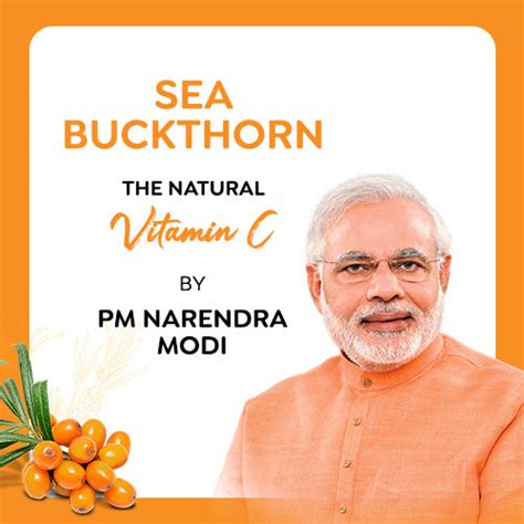Seabuckthorn Leaves Best Sea Buckthorn Brand Wellness