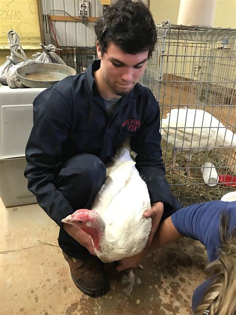 Animal Agriculture 9th - 12th Grade Quiz | Wayground