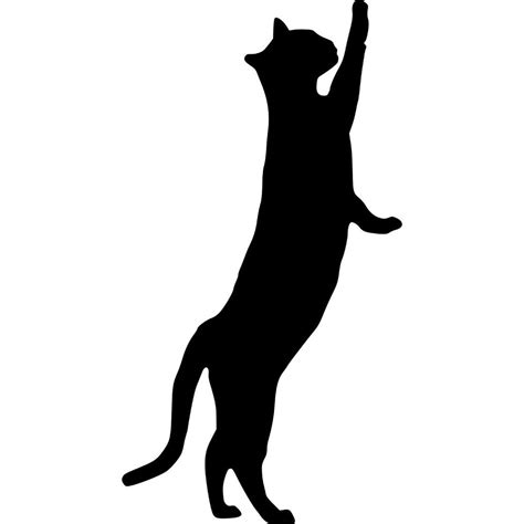 Image result for Cat Learning SVG
