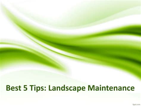 Image result for Landscape Maintenance Tips