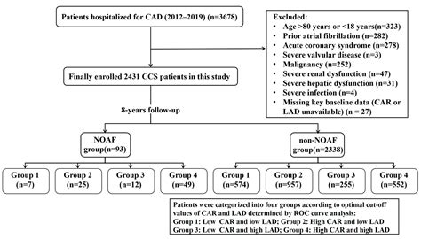 C-Reactive Protein-to-Albumin Ratio (CAR) and Left Atrial Diameter ...