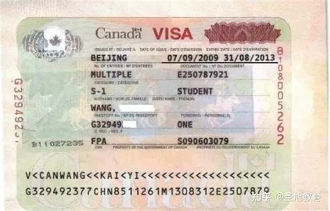 加拿大留学签证如何申请？DIY？ - 知乎