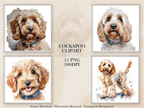 Image result for Cockapoo ClipArt
