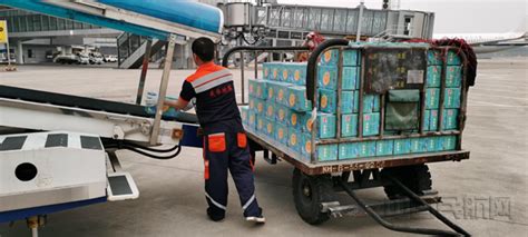 桂林机场装卸保障业务外包工作顺利交接-中国民航网
