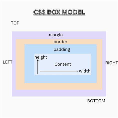 Image result for Content Box in HTML and CSS