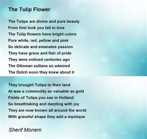 Tulip Flower Language at Tamara Wickline blog