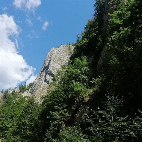 THE 5 BEST Restaurants Near Prăpăstiile Zărneștiului