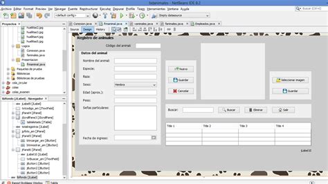 Ejemplos Java Netbeans 的图像结果