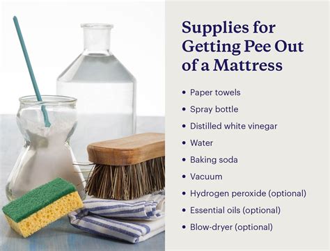 How To Get Pee Out Of Futon Mattress at Arlene Jordan blog