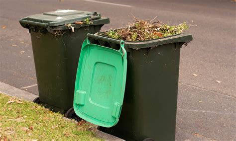 Major bin change coming to Australian city: What you need to know