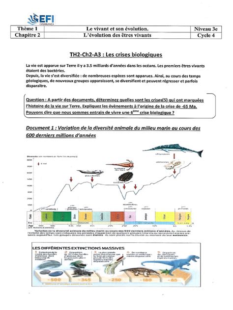 Graphique SVT 的图像结果