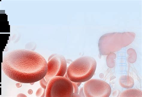 Full Body Checkup Price in Mumbai | Book Full Body Test & Blood Test ...