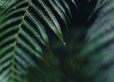 Professional Practice Insurance 的图像结果