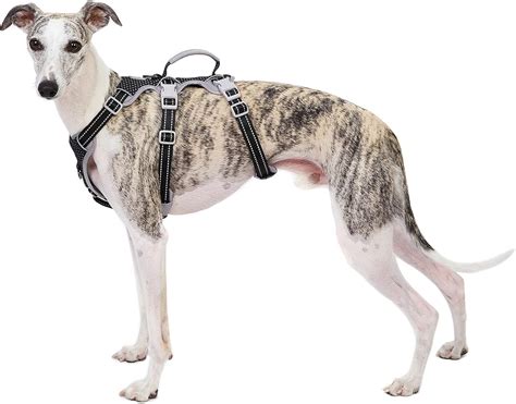 Imbracatura a prova di fuga, imbracatura per cani antiscivolo a prova di fuga, imbracatura ...