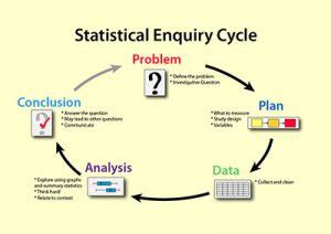 Image result for Statistical Questions Examples