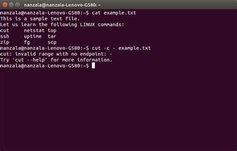 Image result for Explain Netstat Output
