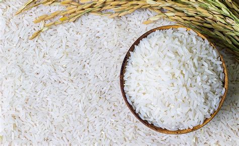 Discovering the unexplored wonders of Bilaspur