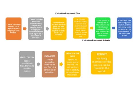 Image result for Extinction Process