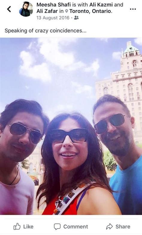 Witnesses At Ali Zafar And Meesha's 'Controversial' Gig Share Their ...