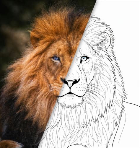 Image result for Terminator Coloring Pages