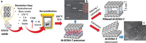 Image result for Dissolution Process of Ctab