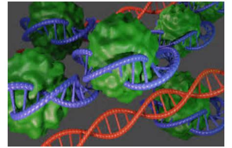 Uveal melanoma discovery points to new treatment possibilities