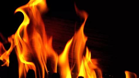 Delhi: Fire Breaks Out At Godown In Mayapuri | VIDEO | India News ...