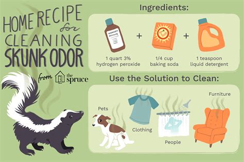 Get Rid of Skunk Odor: What Really Works