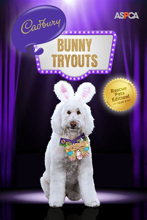 Cadbury puts rescue pets in the spotlight for its 2023 Cadbury Bunny ...