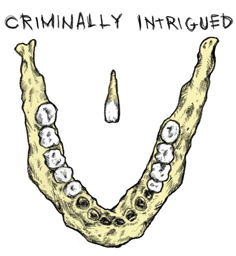 Mack Ray Edwards — Criminally Intrigued