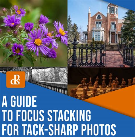 Image result for Focus Stacking Guide