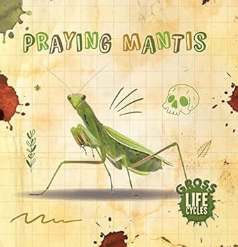 Praying Mantis (Gross Life Cycles) : Anthony, William: Amazon.in: Books