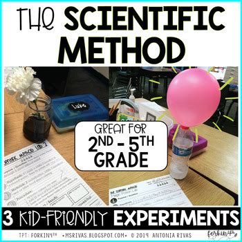 Image result for Scientific Method Experiments Examples
