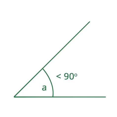 Types of Angles: Acute, Right, Obtuse, Straight and Reflex Angles | AESL