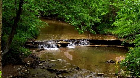 THE CONFERENCE CENTER AT QUAKER HILL (Richmond) - Specialty Inn Reviews ...