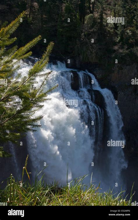 Image result for Springtime Country Waterfall