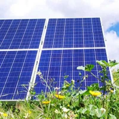 Punjab DISCOM to purchase 300 MW solar power at Rs 2.36/kWh from SECI