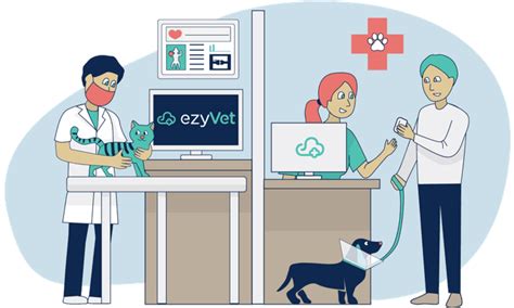 Ezyvet Tutorial Bundle 的图像结果