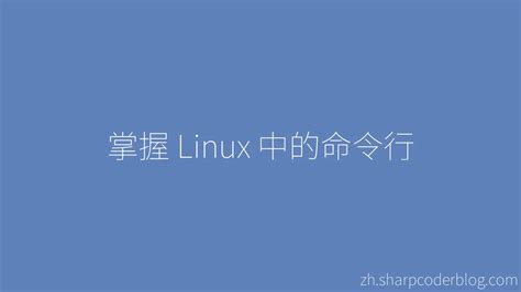 Wikipedia Command Line 的图像结果