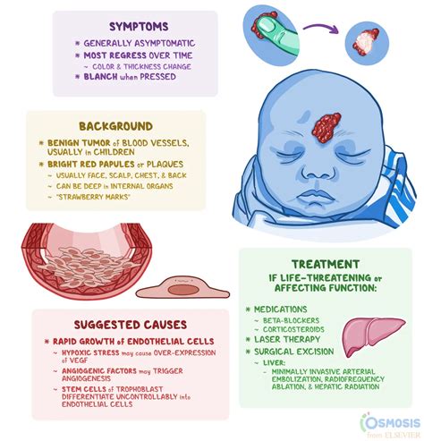 Image result for Hemangiosarcoma