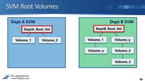 Image result for NetApp FlexVol