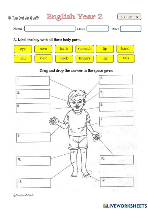 Robotics Worksheet 的图像结果