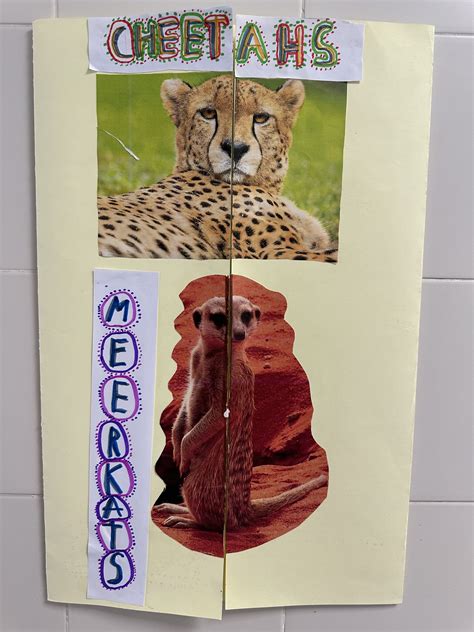 THE ENGLISH CLASSROOM BY MªJOSÉ MUELA: OUR "WILD ANIMALS" LAPBOOKS (5TH ...